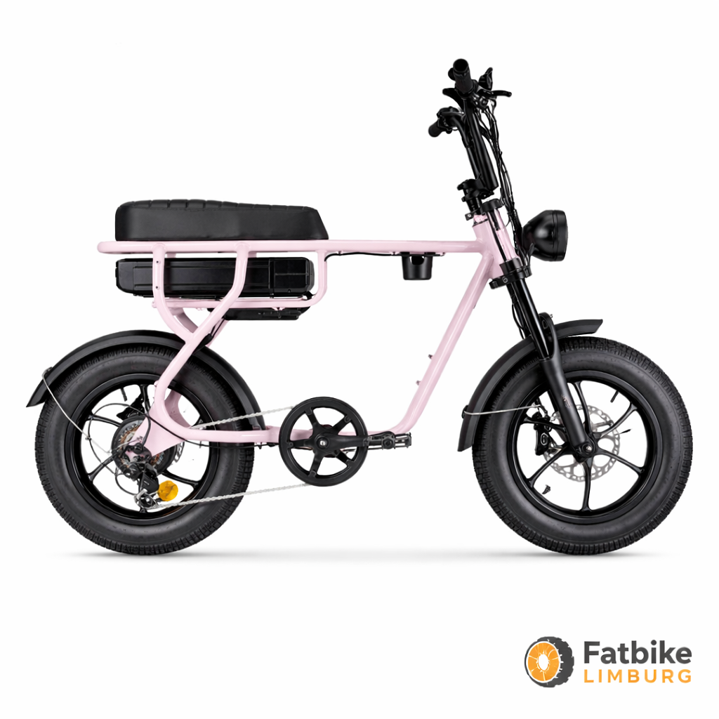 EB16 - mini Fatbike - Roze